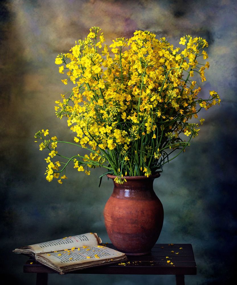 Photograph by Александра