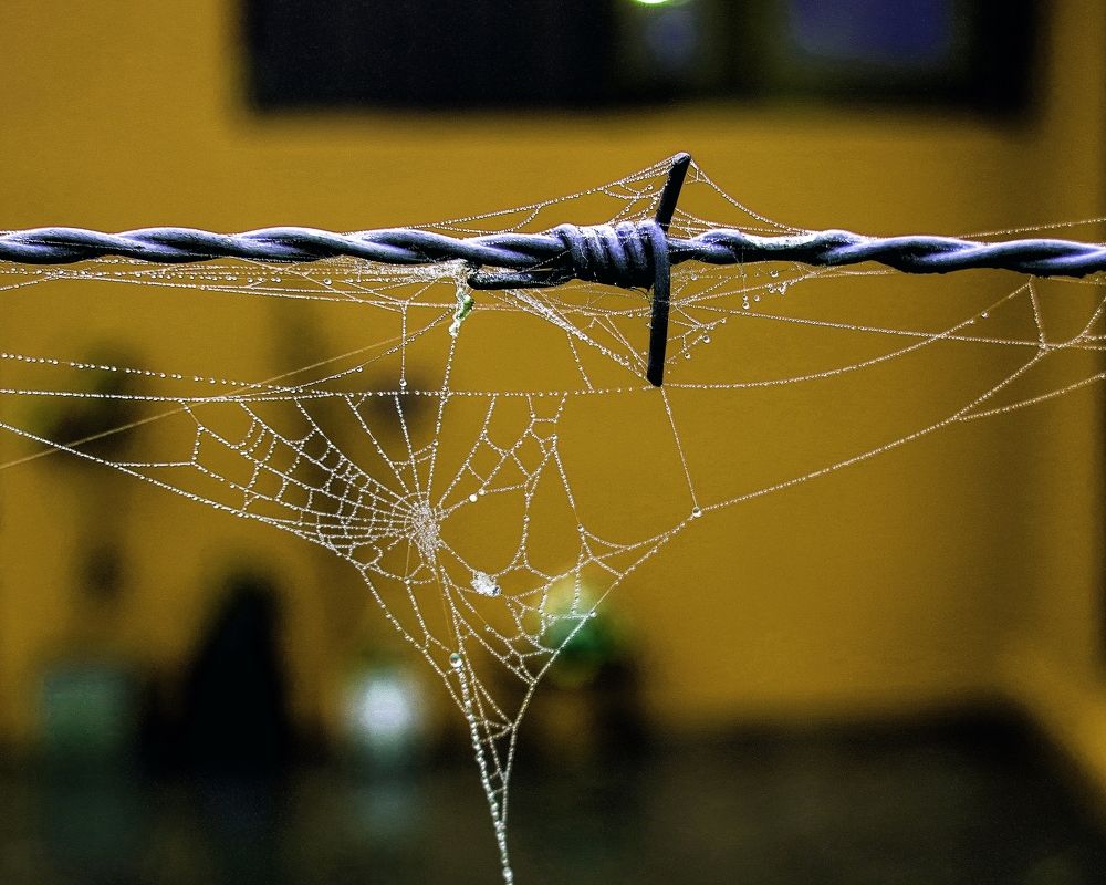 Photograph by Viviana García