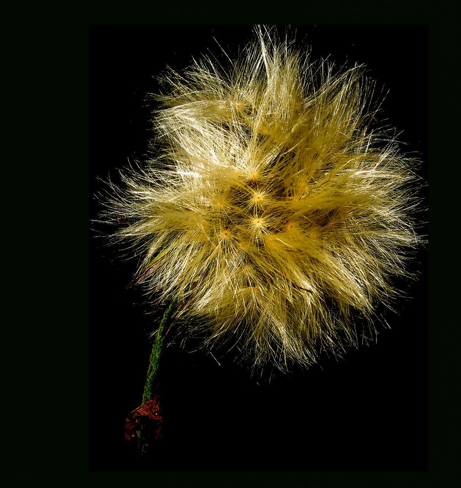 Photograph by Viviana García