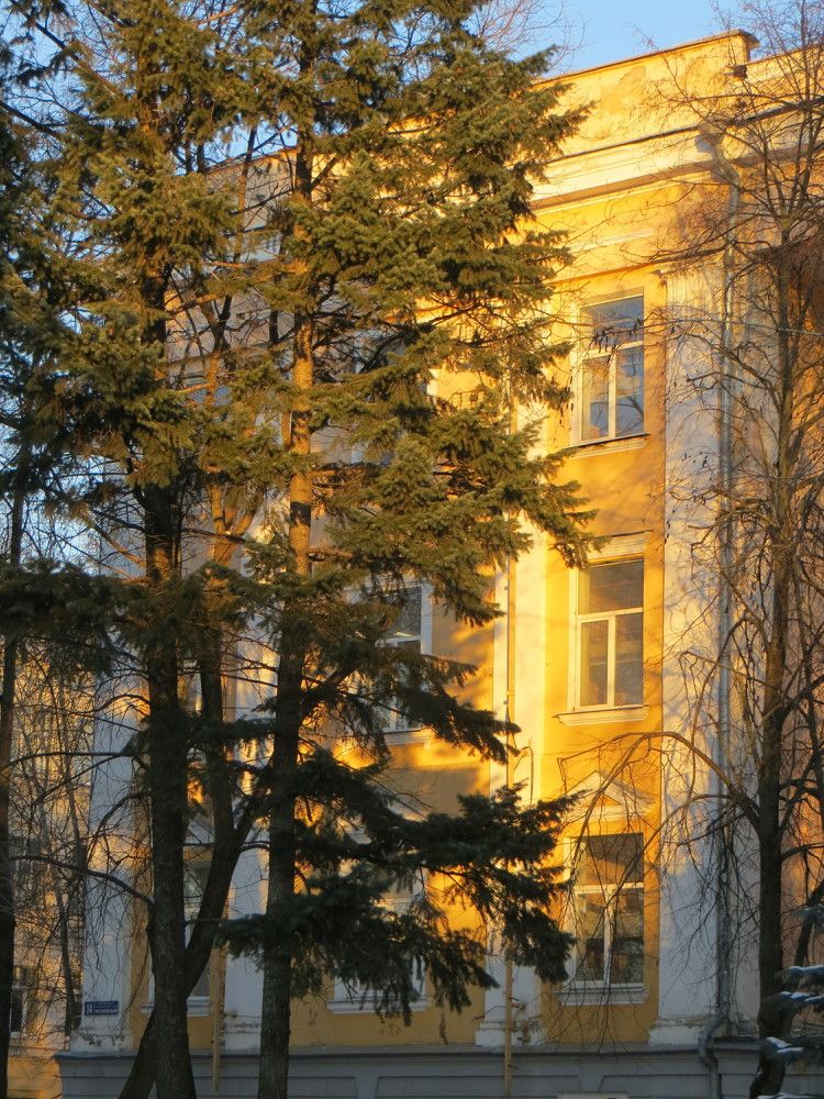 Photograph by Татьяна Поминова