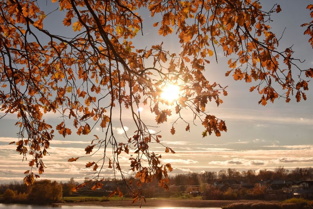 Photograph by Татьяна Абабкова