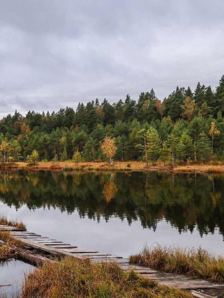 Photograph by Ирина Корабельникова