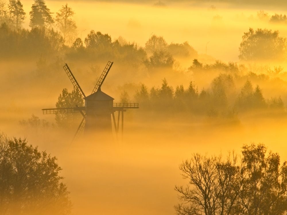 Photograph by Илюшечкина Екатерина