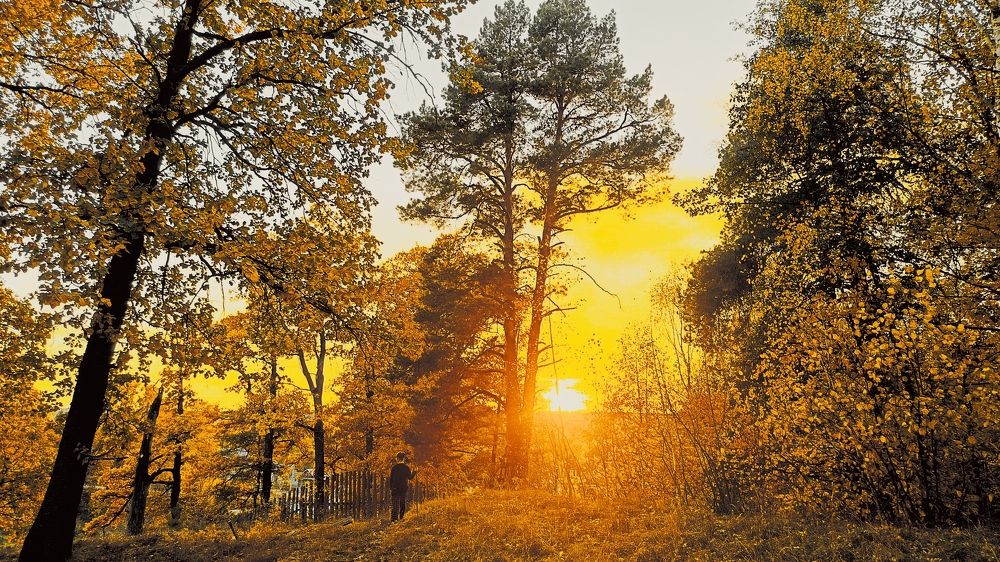 Photograph by Татьяна Пятернёва