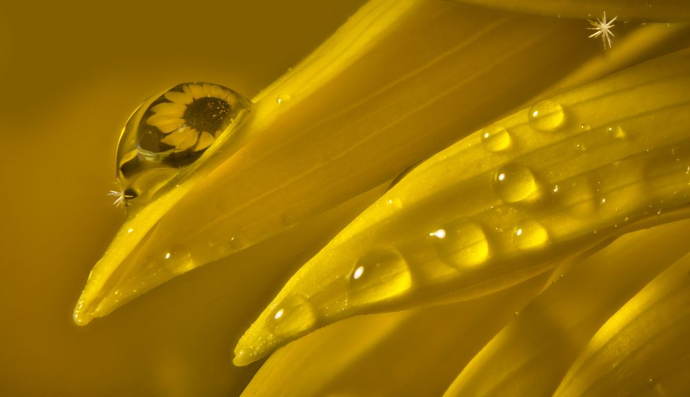 Photograph by Boris Bekelman