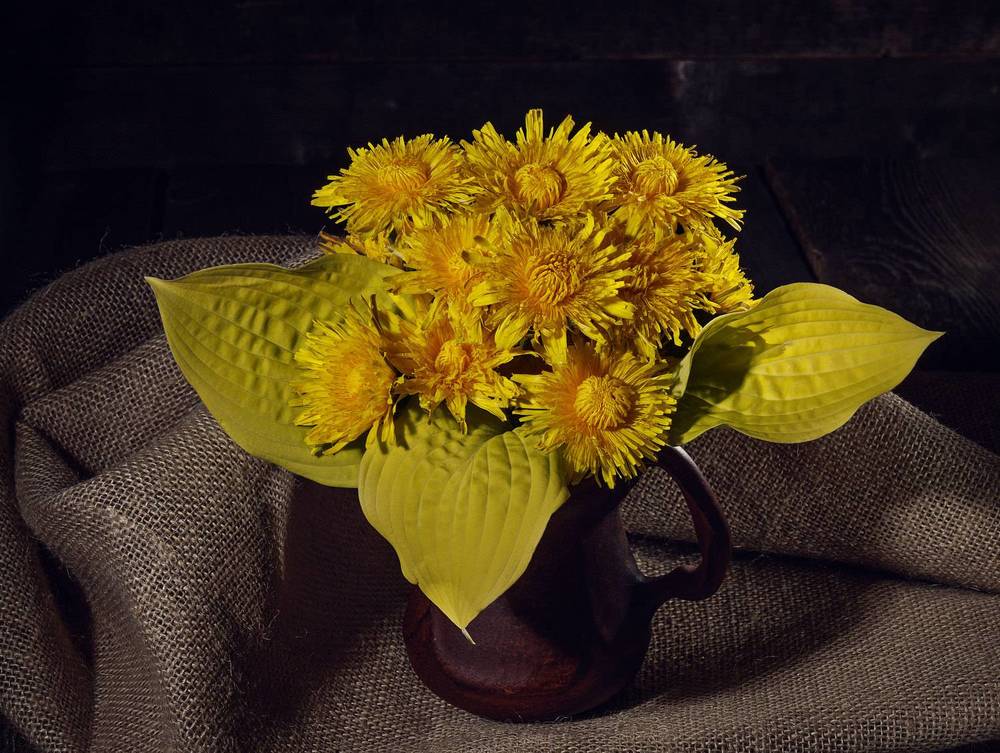 Photograph by Морозов Сергей