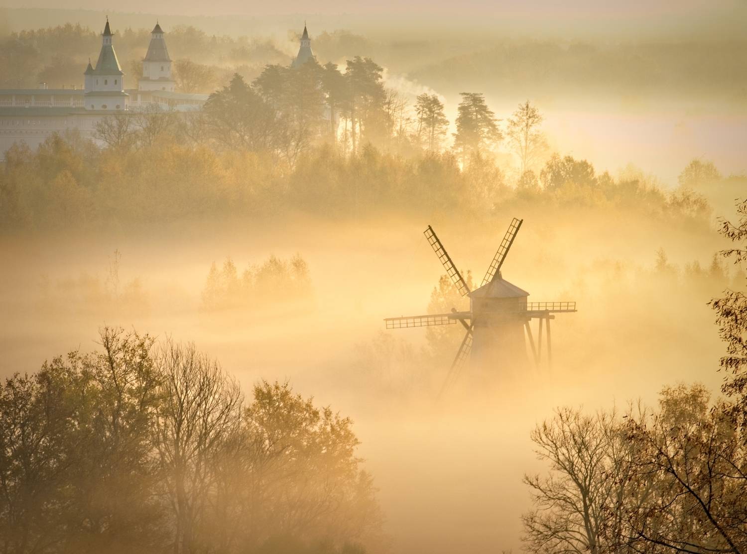 Фотография #11114433