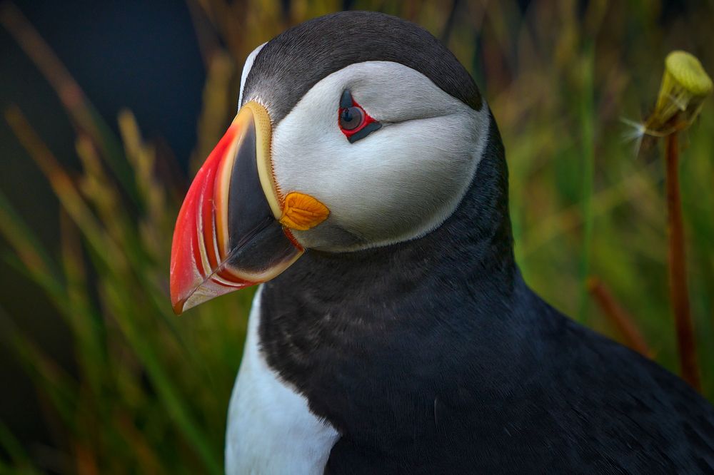 Photograph by Boris Bekelman