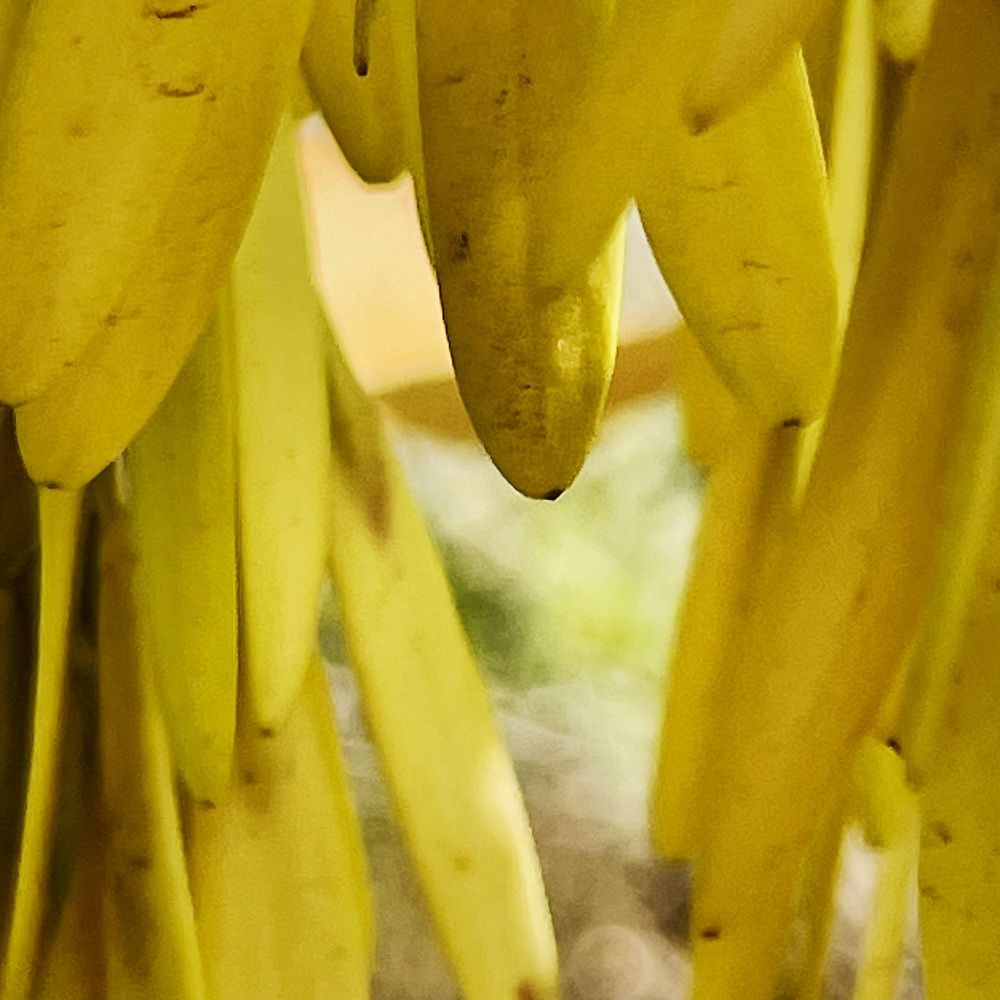 Photograph by Nadya Sterligova