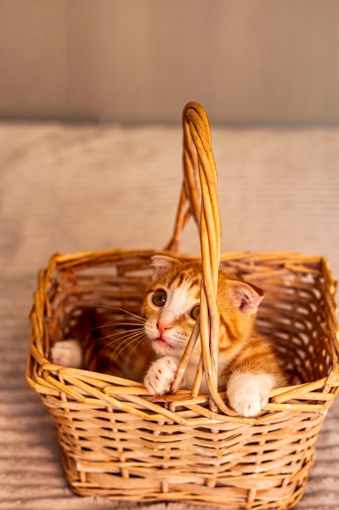 Photograph by Мария Степанова