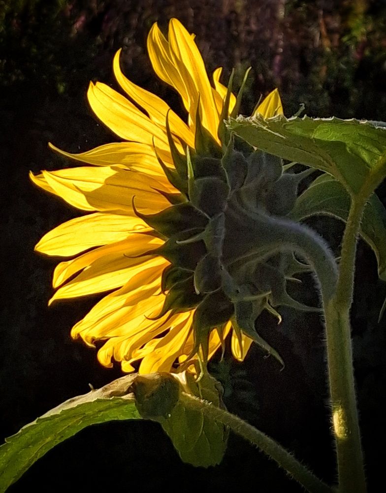 Photograph by Марина Безенкина