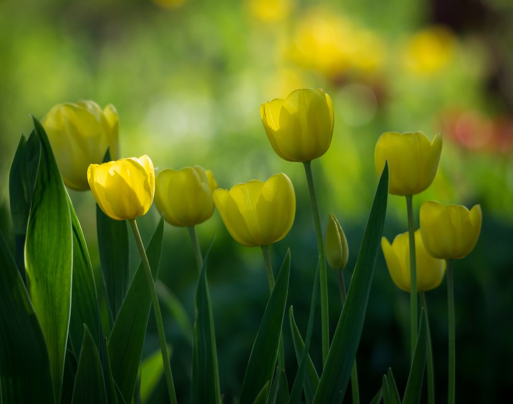 Photograph by Agita Leimane