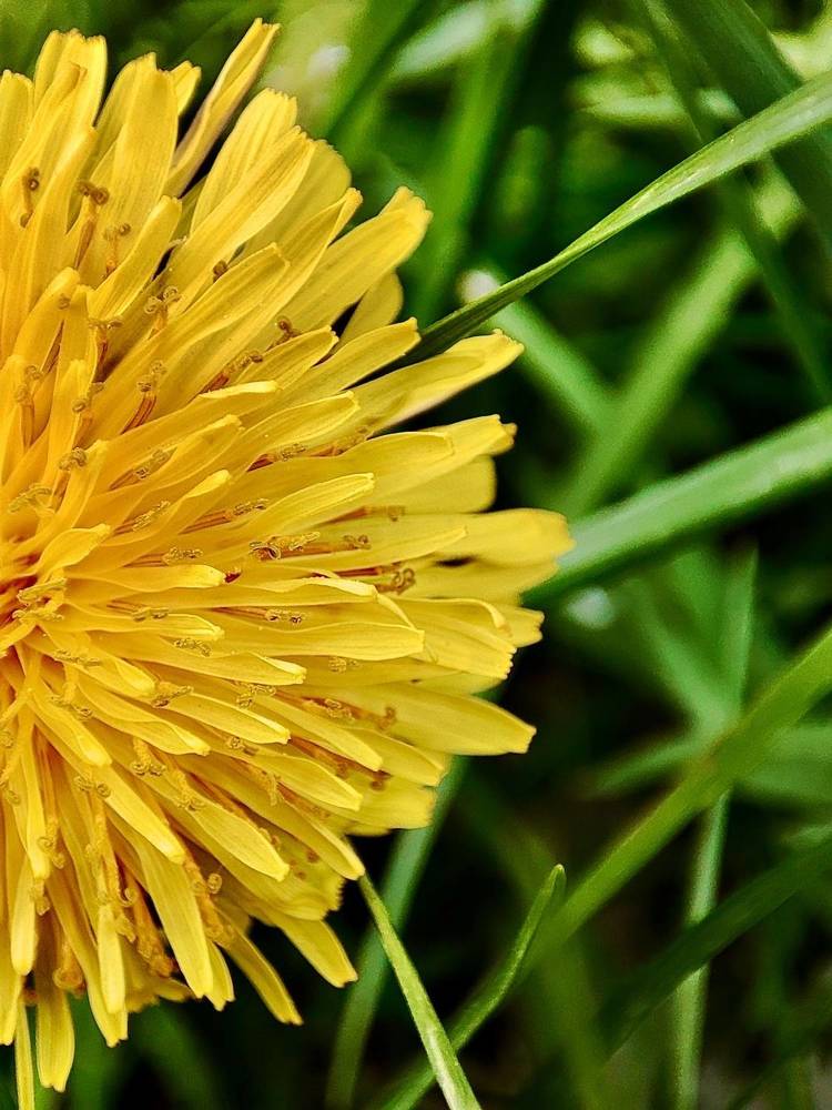 Photograph by Дина Желанова