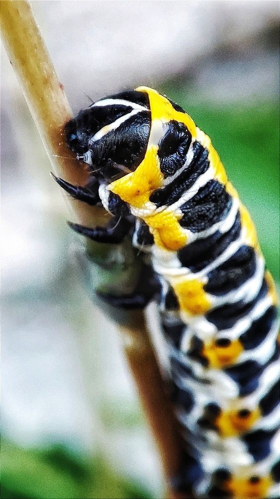 Photograph by Дина Желанова