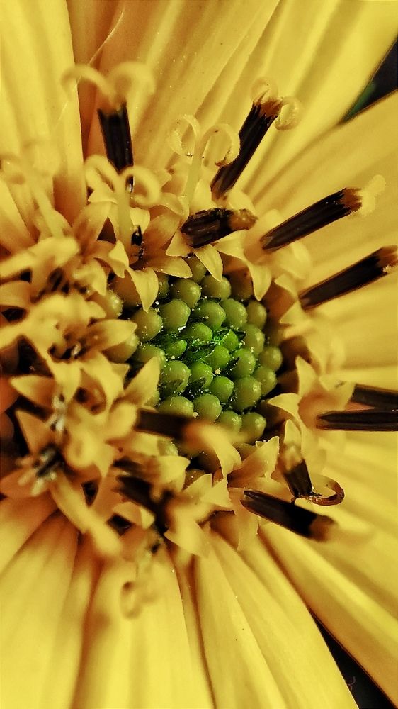 Photograph by Дина Желанова