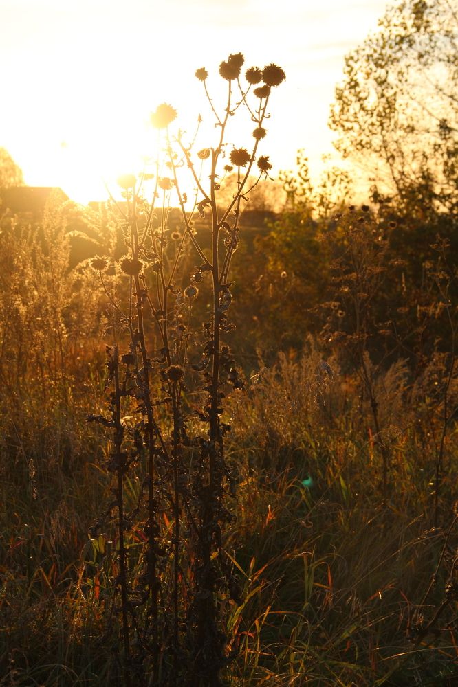 Photograph by Хайбуллина Флора