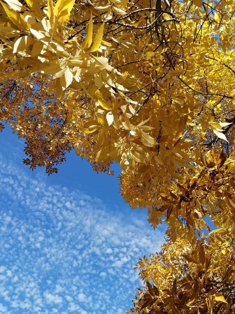 Photograph by Хайбуллина Флора