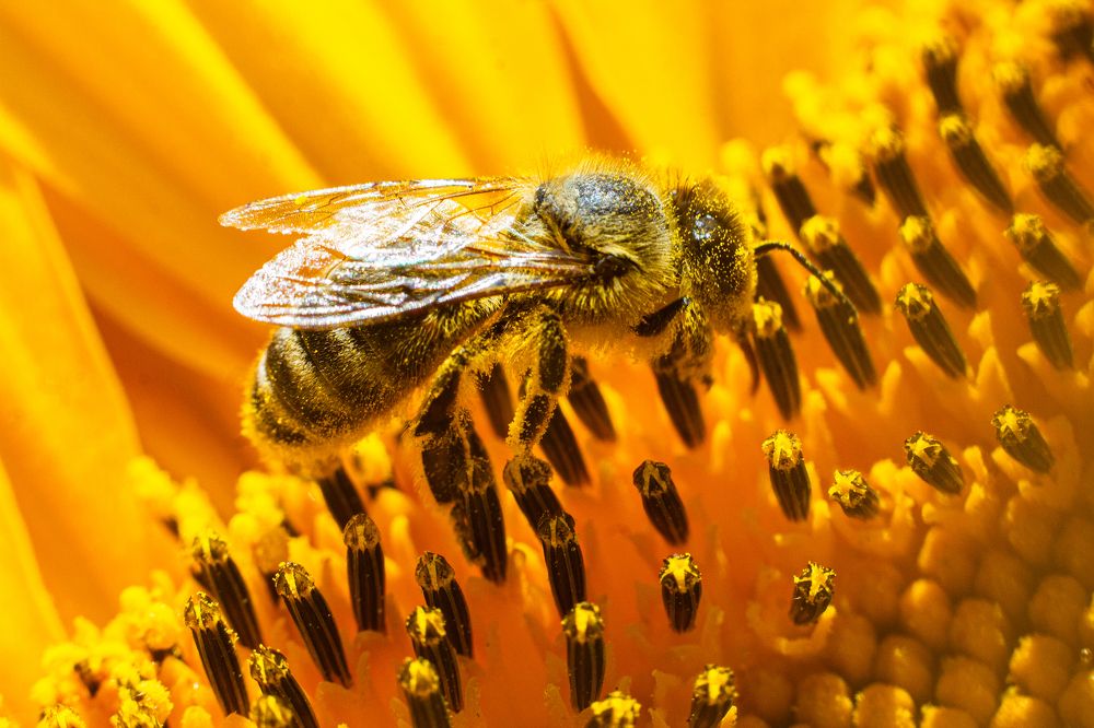 Photograph by Дарья Улюсова