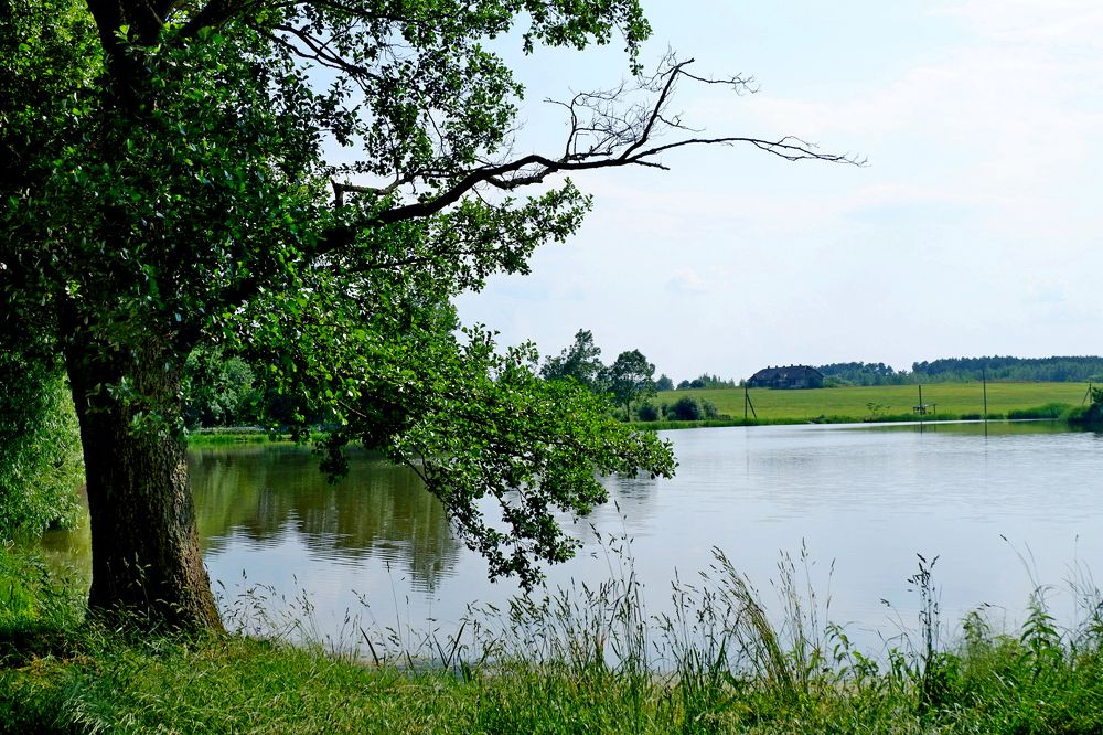 Photograph by Юлия Гузень