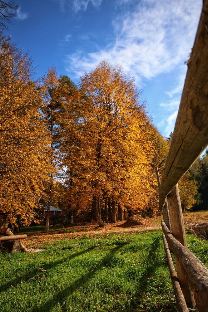 Фотография автора Роман Савин