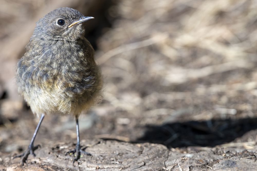 Photograph by Сергей Шерстнев