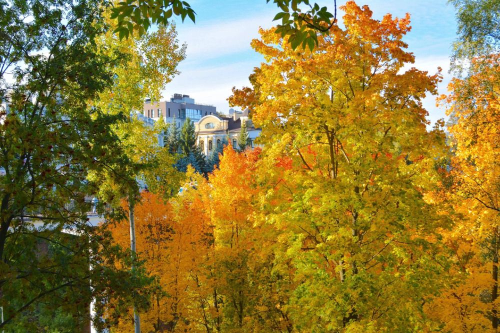Разноцветная осень