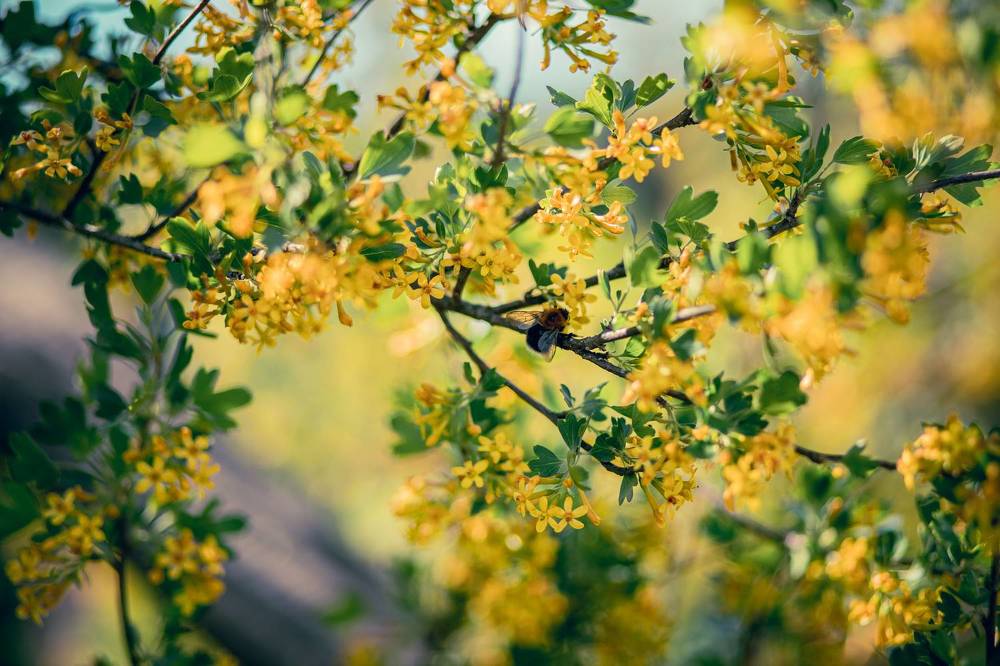 Photograph by Марина Пехтерева