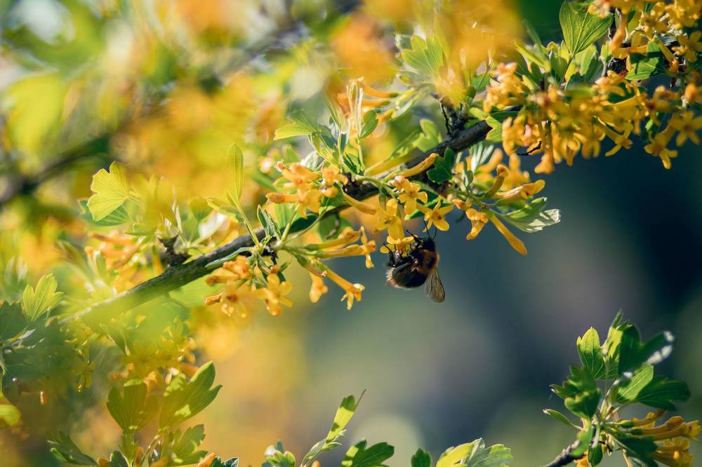 Photograph by Марина Пехтерева