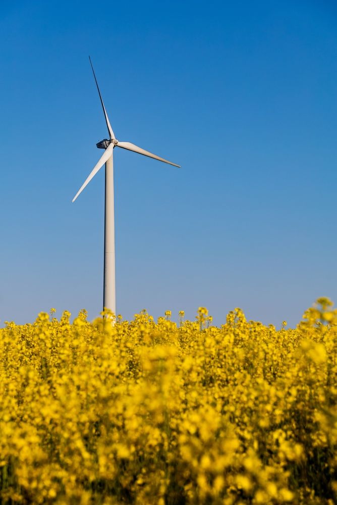 Photograph by Александр Шинкаревский