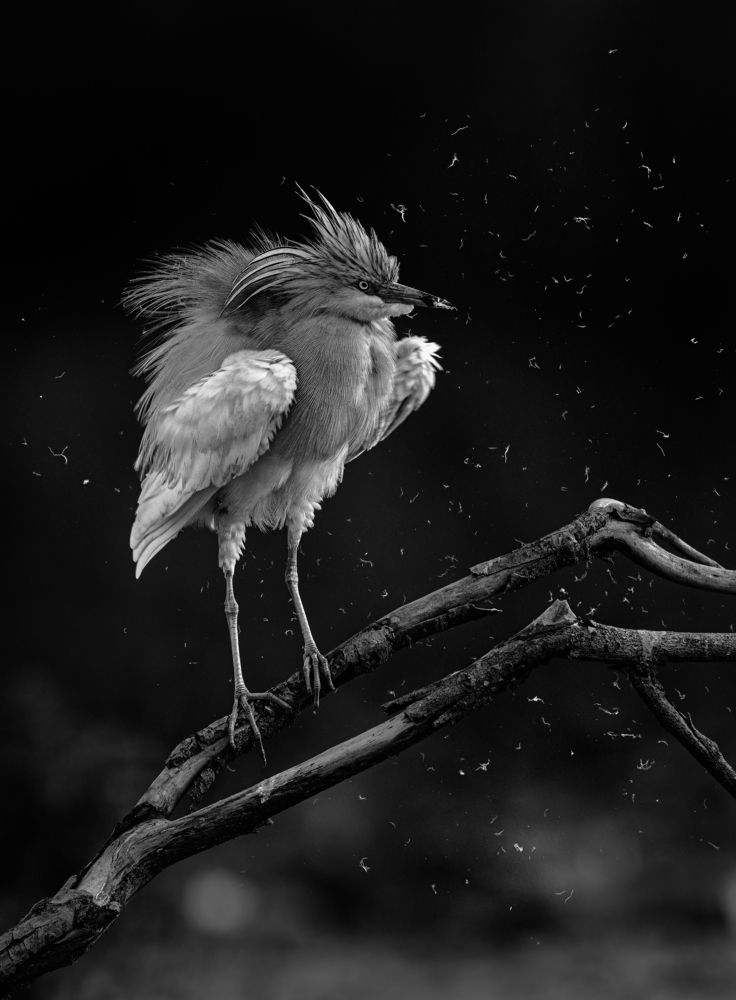 Photograph by Tímea Ambrus