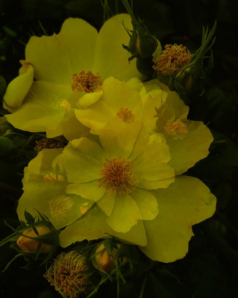 Photograph by Людмила Евстратова