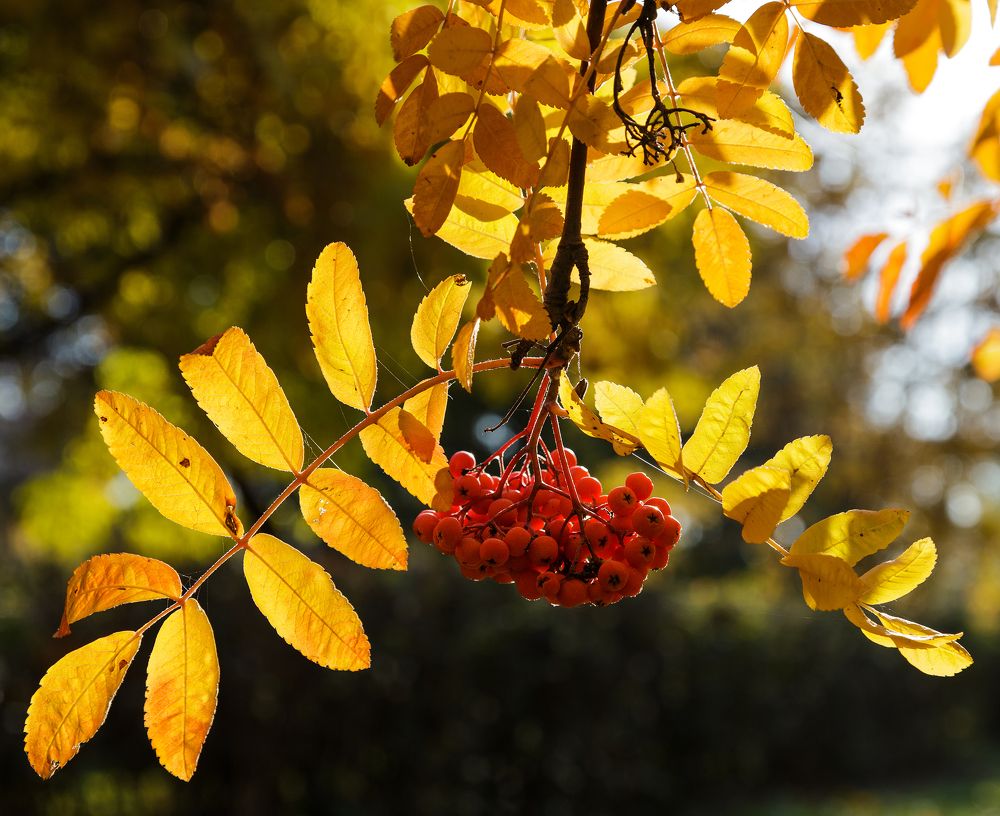 Photograph by Olga Shtin