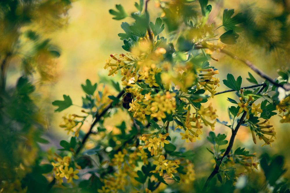 Photograph by Марина Пехтерева