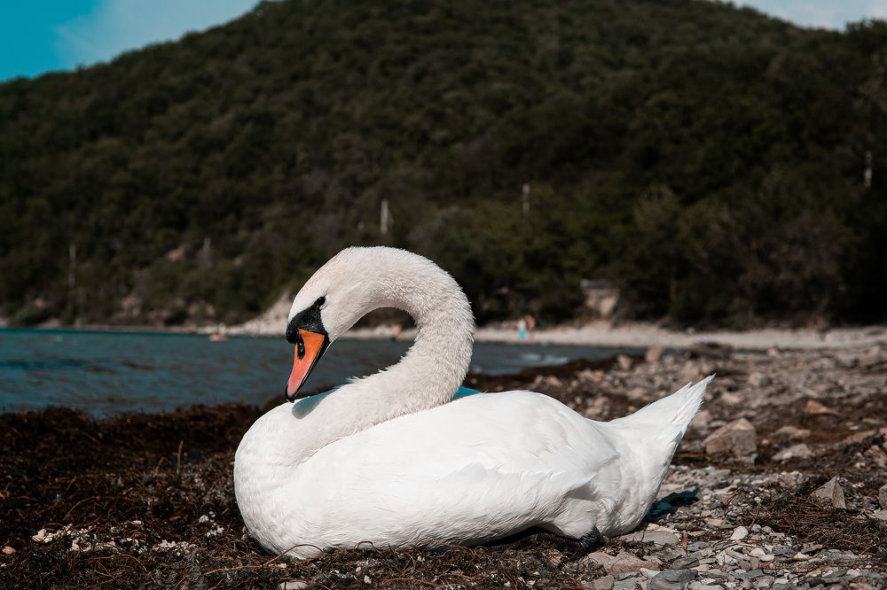 Photograph by Егор Ставер