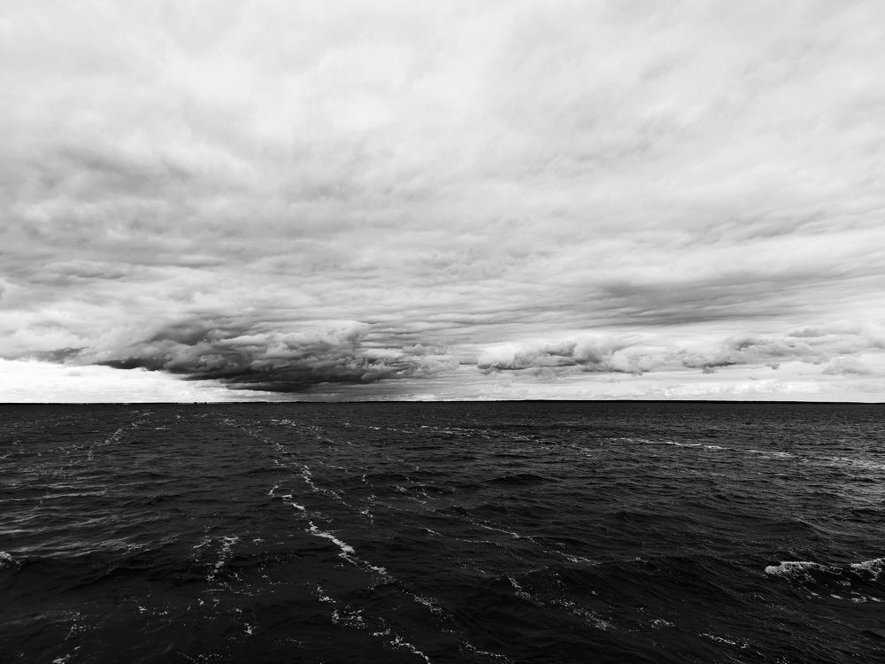 Photo #11114746