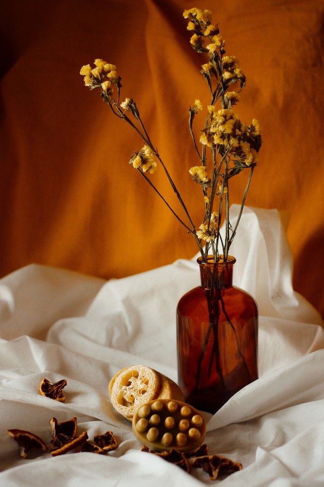 Фотография автора Ксения Вабищевич