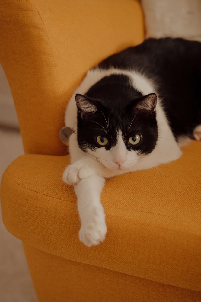 Фотография автора Ксения Вабищевич