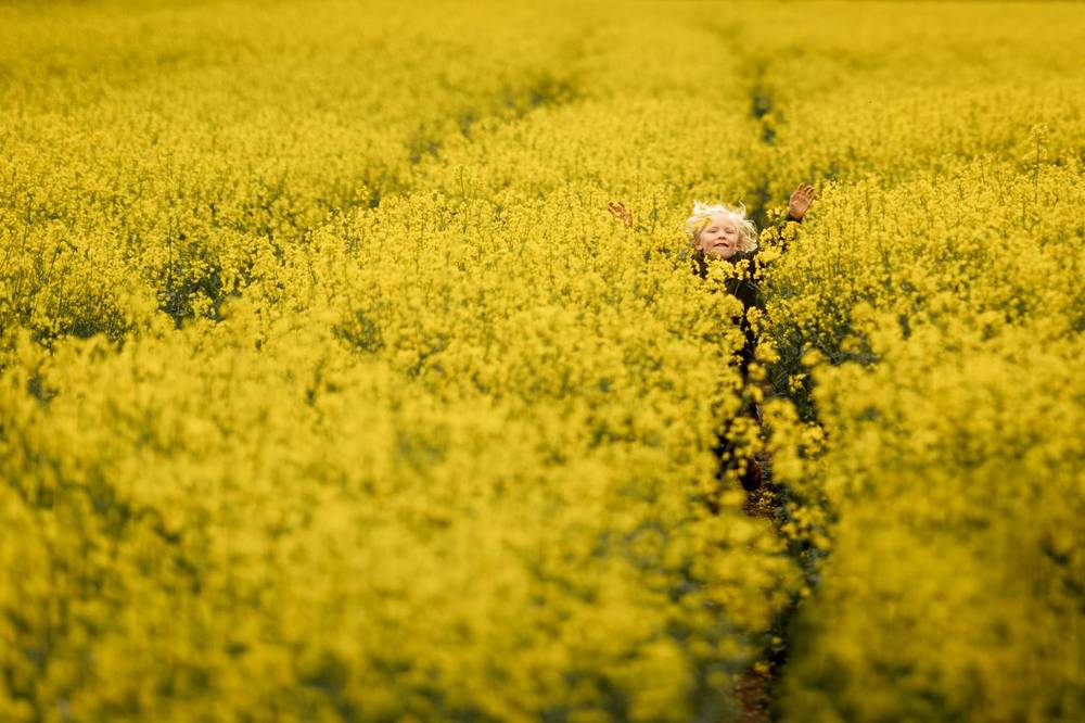 Photograph by Jo Martindale