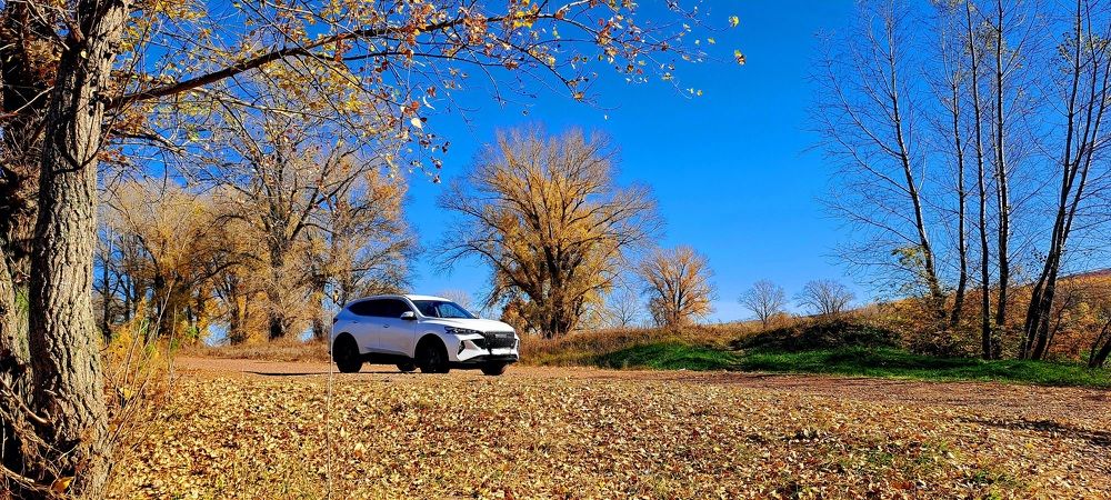 Photograph by Александра Насырова