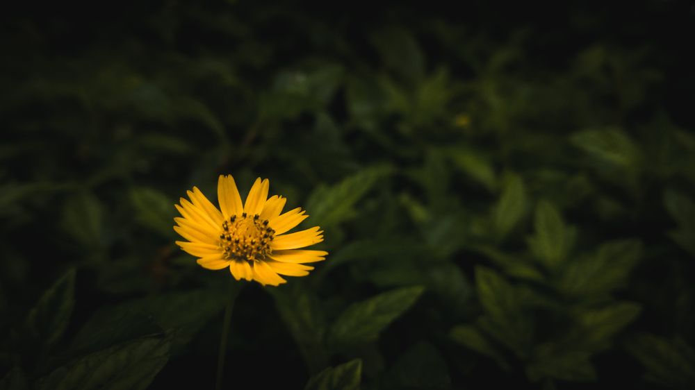 Photograph by Dhruv Mistry