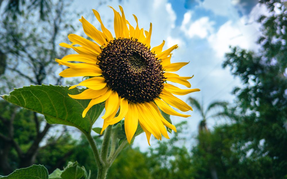 Photograph by Dhruv Mistry