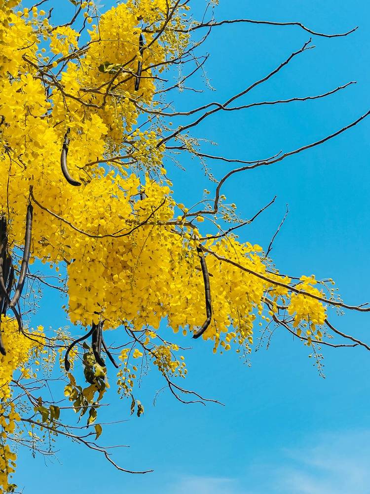 Photograph by Dhruv Mistry