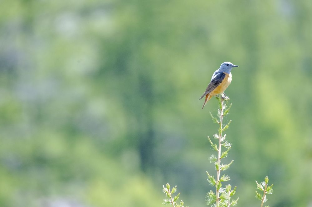 Photograph by Сергей Шерстнев