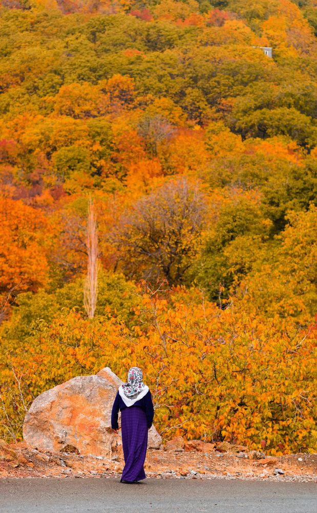 Photograph by Ehsan Fathi