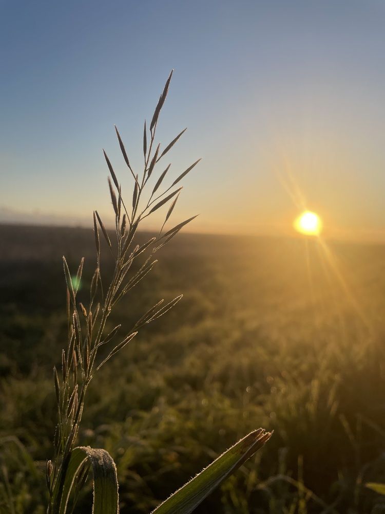 Photograph by Елена Саватеева