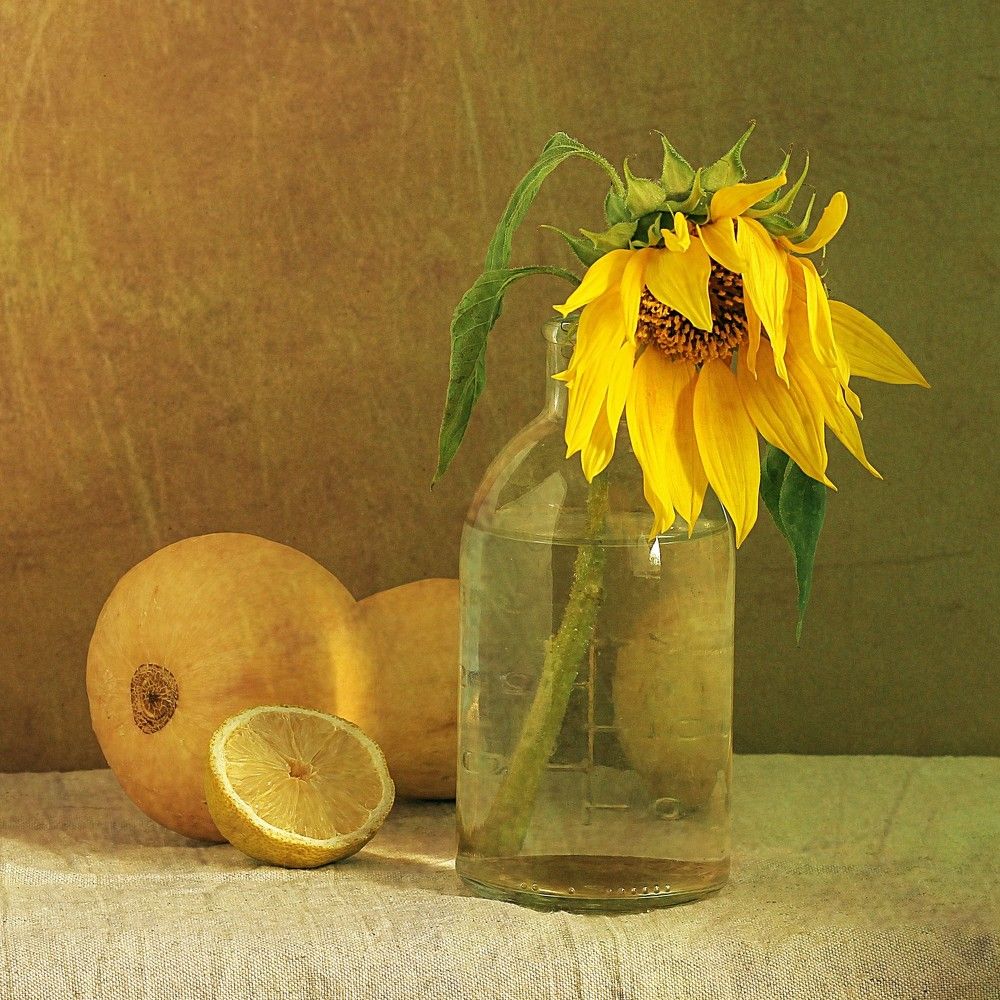 Photograph by Евсеева Валентина