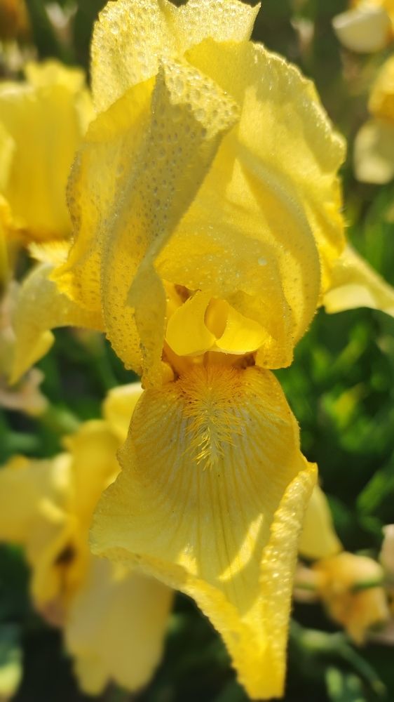 Photograph by Глушакова Татьяна Николаевна