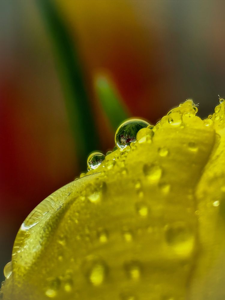 Фотография автора Юра Кладухин