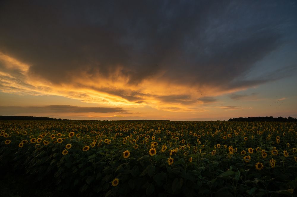 Photograph by Александр Корнейчев