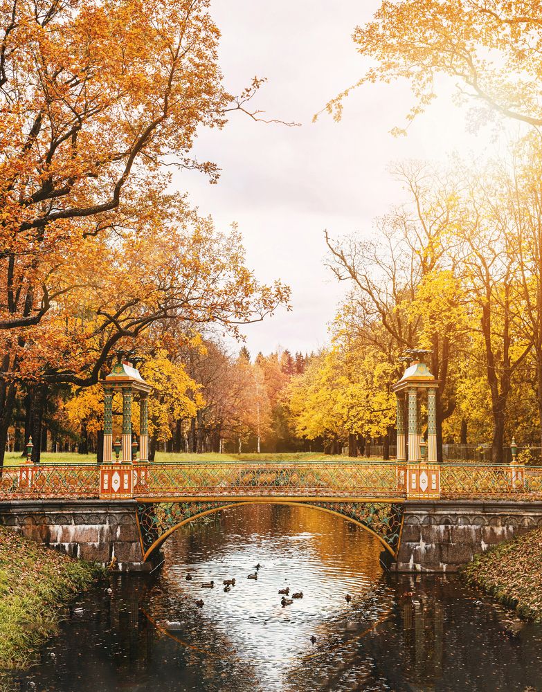 Photograph by Мария Приставская (Буданова)